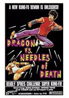 Dragon Vs Needles of Death (1982)