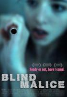 Blind Malice (2016)