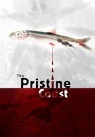 The Pristine Coast