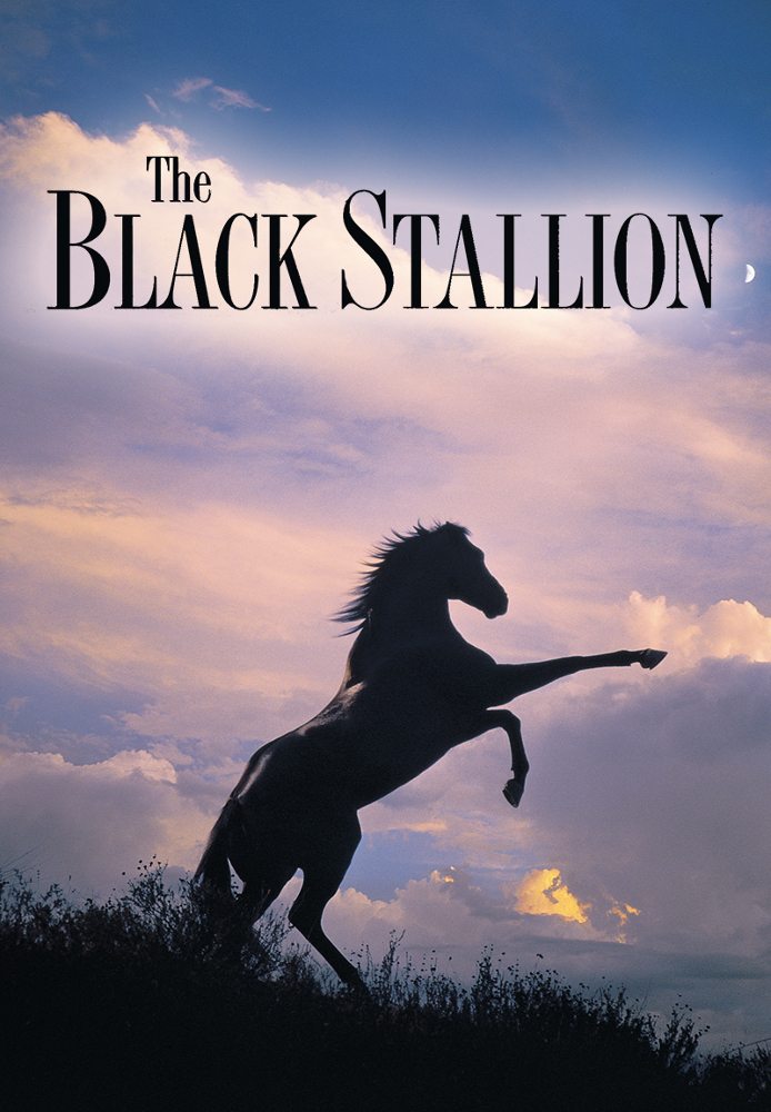 The Black Stallion