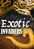 Exotic Invaders