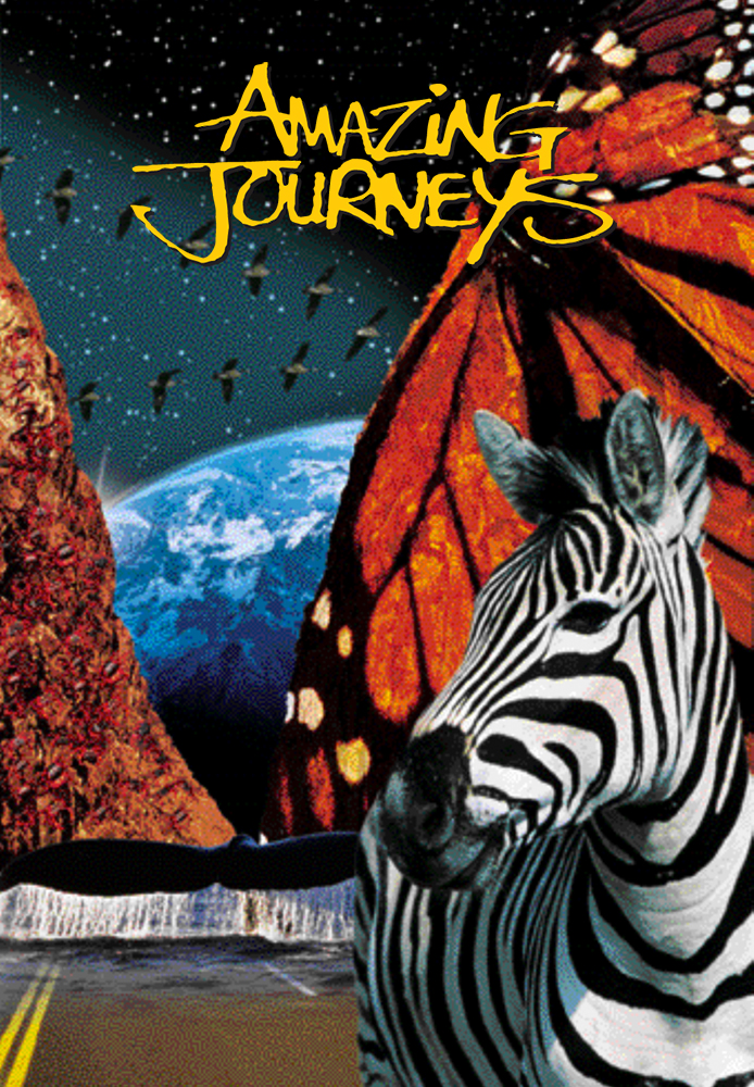 Amazing Journeys