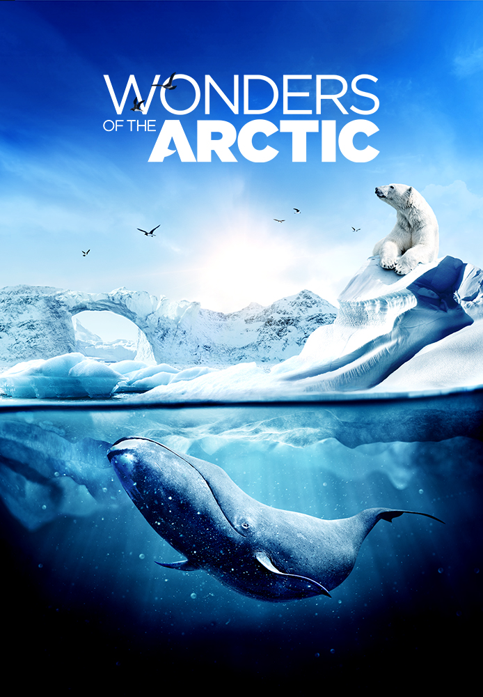 Wonders of the Arctic