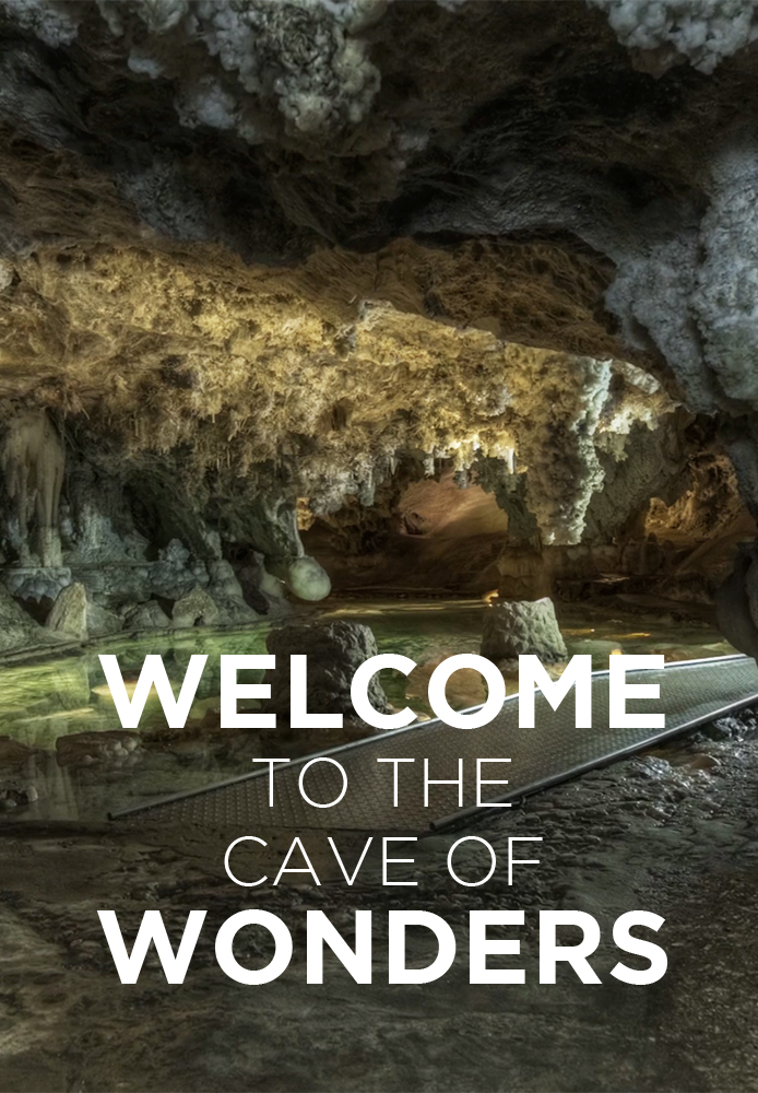 Welcome to the Cave of Wonders