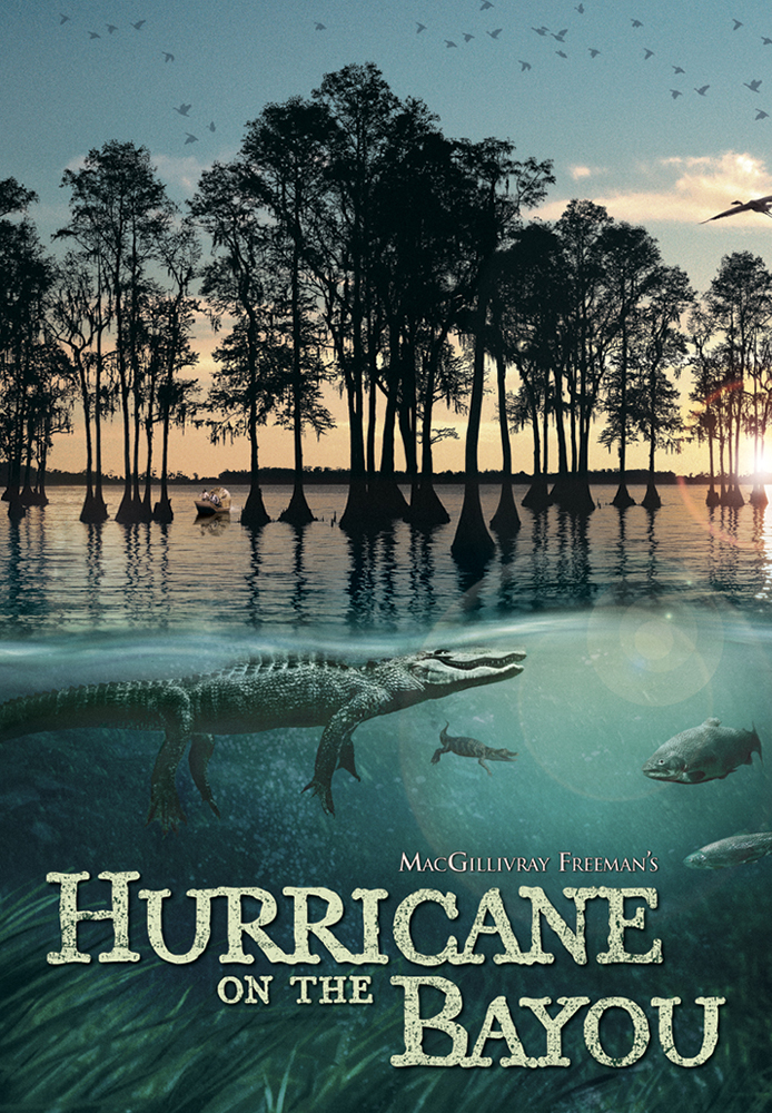 Hurricane on the Bayou
