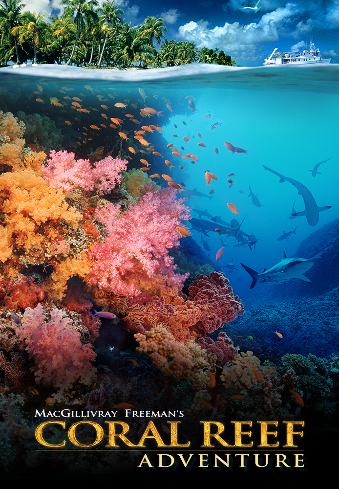 Coral Reef Adventure