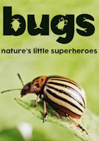 Bugs: Nature's Little Superheroes (2016)