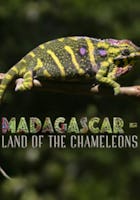 Madagascar – Land of the Chameleons