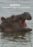 Paradies der Flusspferde – Der Kazinga Channel