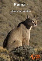 Puma – Jäger der Anden