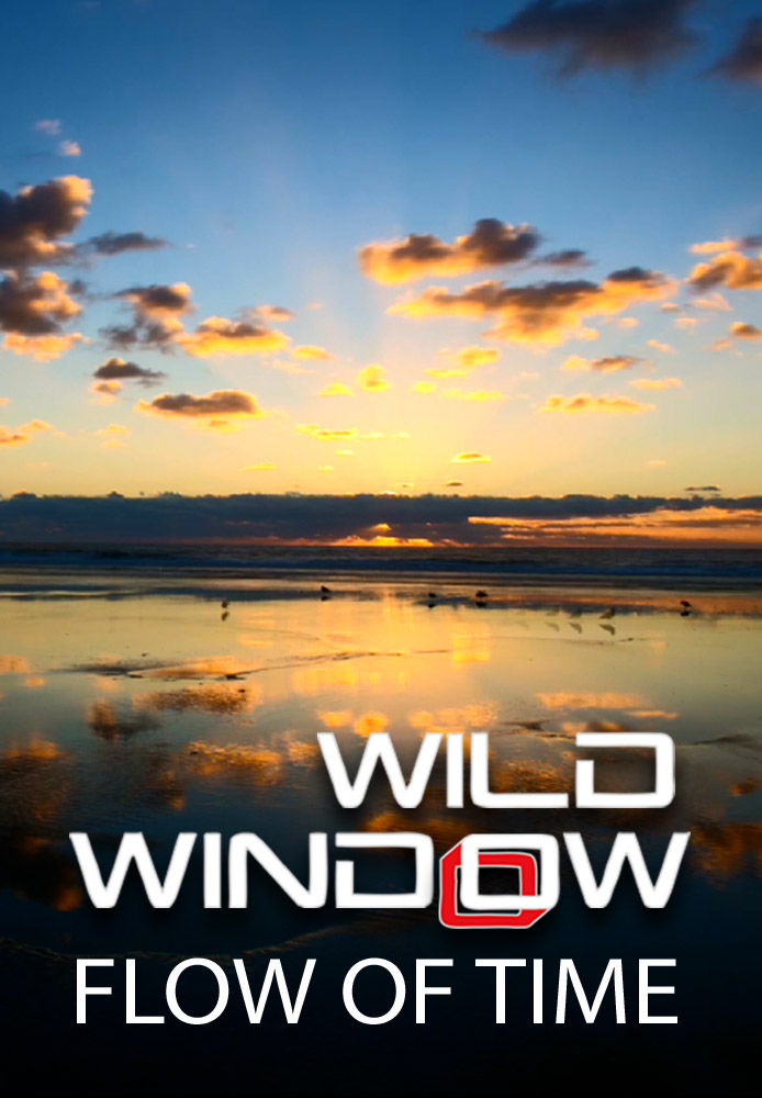 Wild Window: Flow of Time