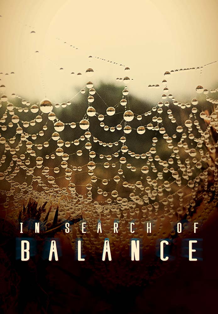 In Search of Balance