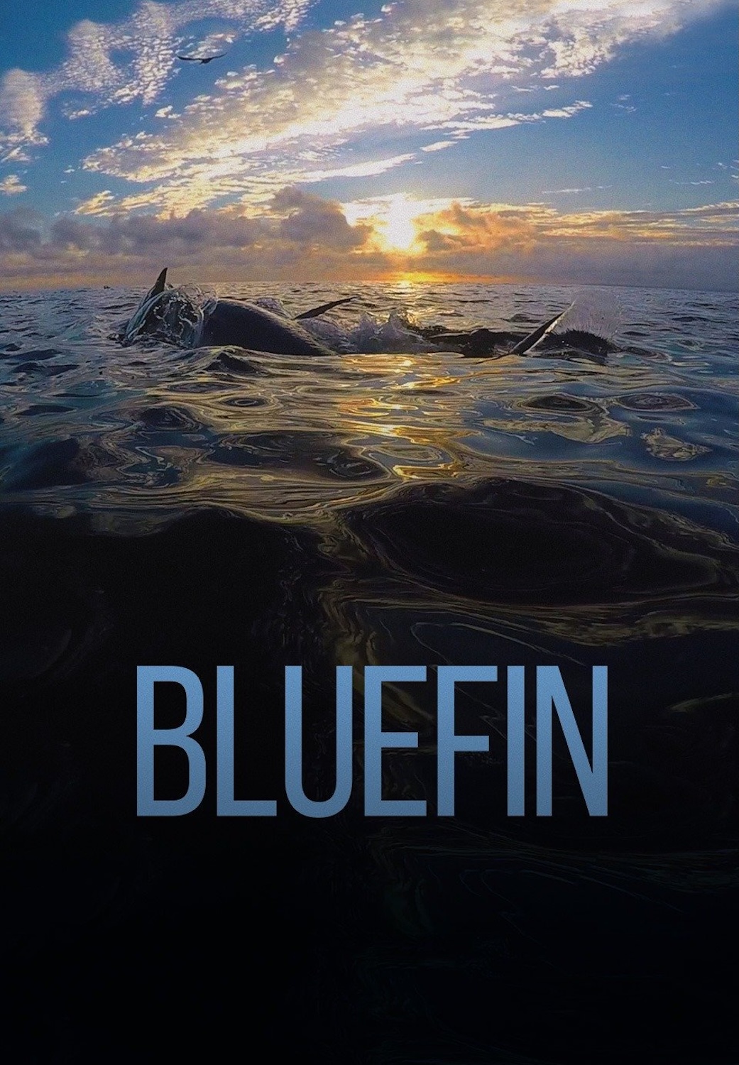 Bluefin