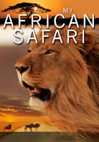 My African Safari