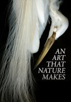 An Art That Nature Makes: The Work of Rosamond Purcell