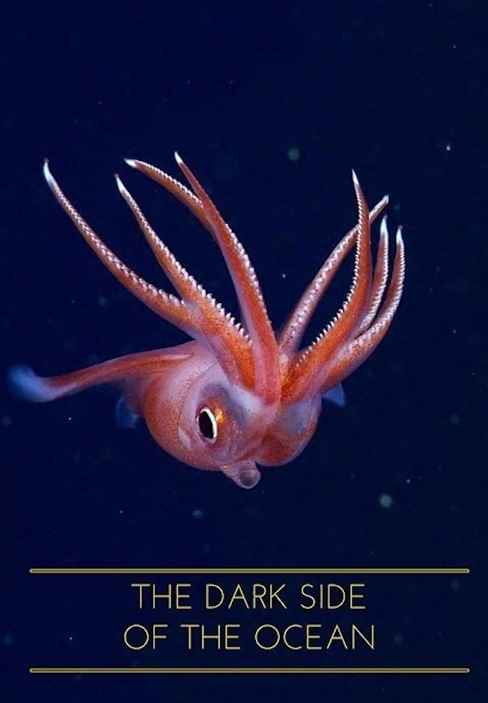 The Dark Side of the Ocean