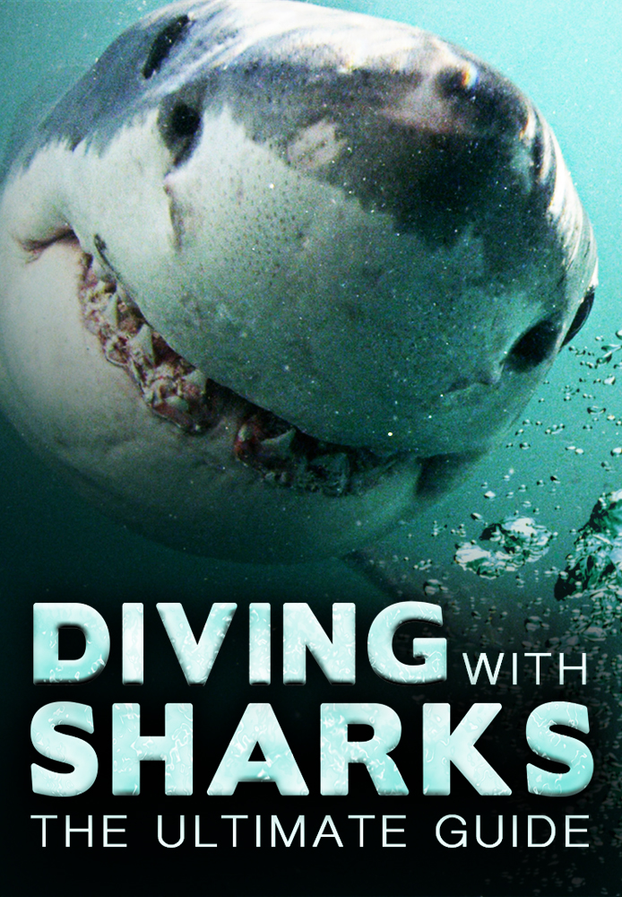 Diving with Sharks: The Ultimate Guide