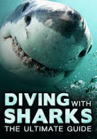 Diving with Sharks: The Ultimate Guide