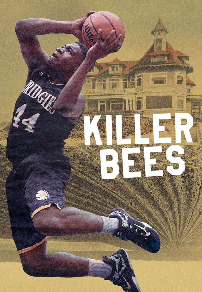 Killer Bees