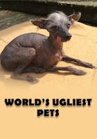 World's Ugliest Pets