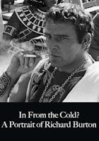 In From The Cold A Portrait Of Richard Burton
