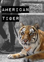 American Tiger