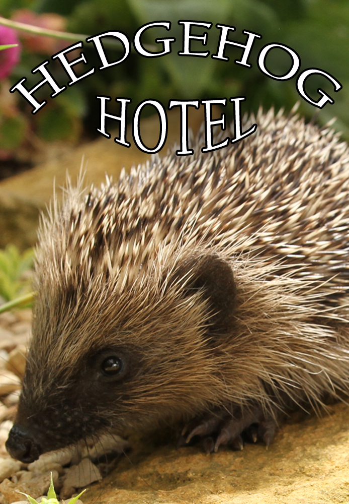 Hedgehog Hotel