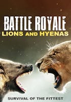 Battle Royale: Lions and Hyenas