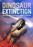 Dinosaur Extinction: Beyond the Asteroid