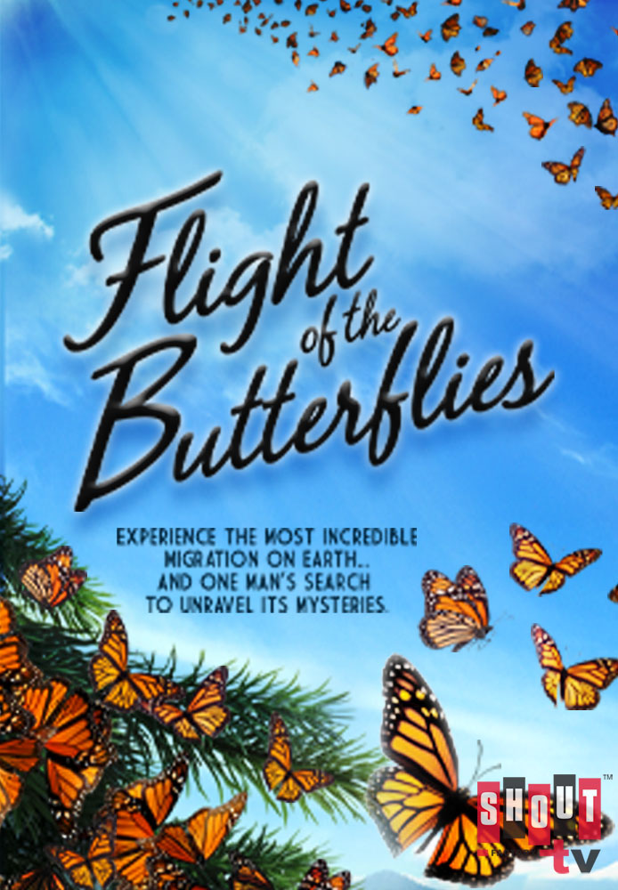 Flight of the Butterflies