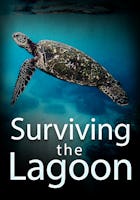 Surviving the Lagoon