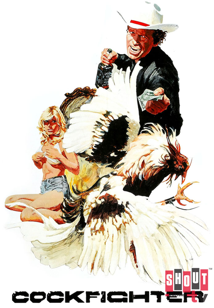 Cockfighter
