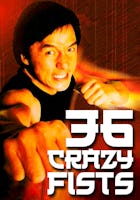 Jackie Chan's 36 Crazy Fists
