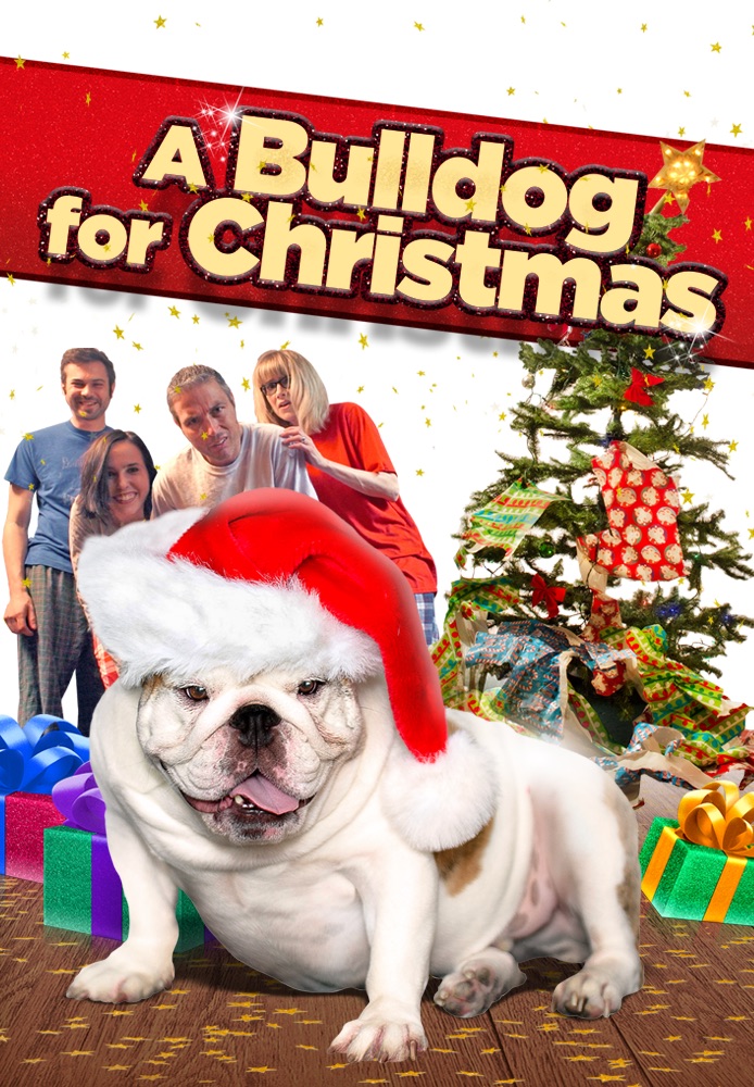 A Bulldog for Christmas