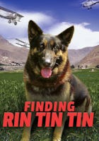 Finding Rin Tin Tin