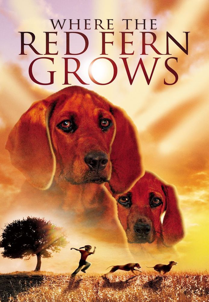 Where Red Fern Grows