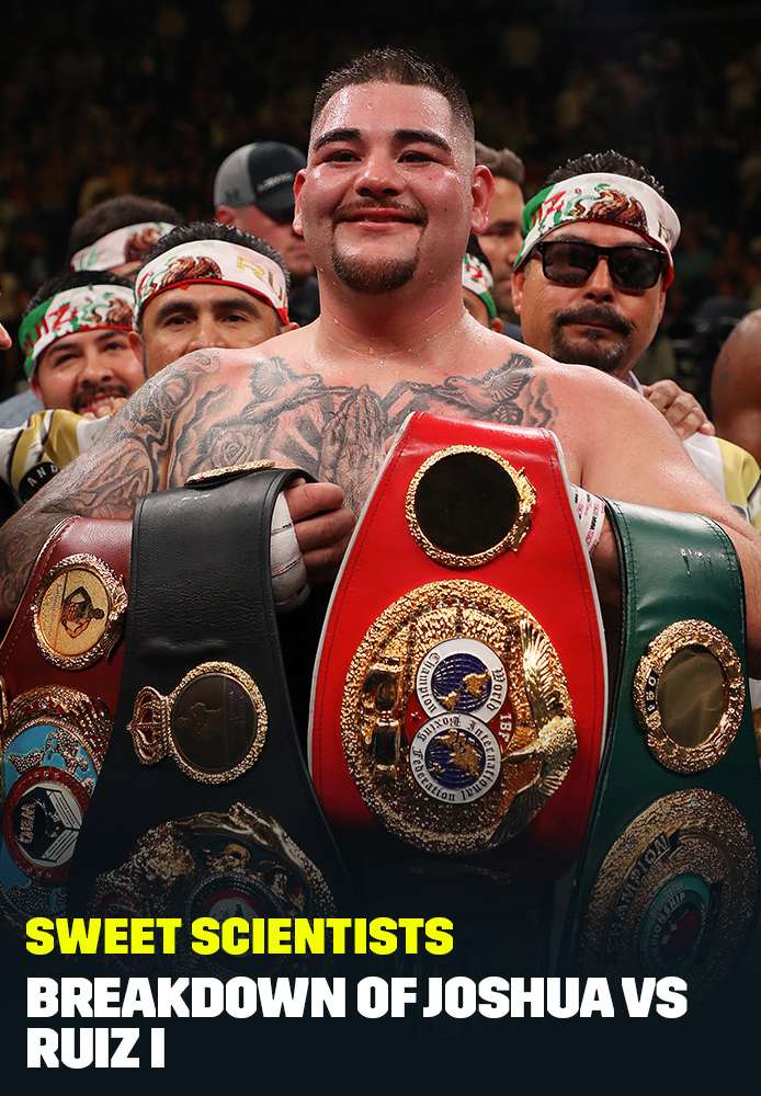 Sweet Scientists: Joshua v Ruiz I