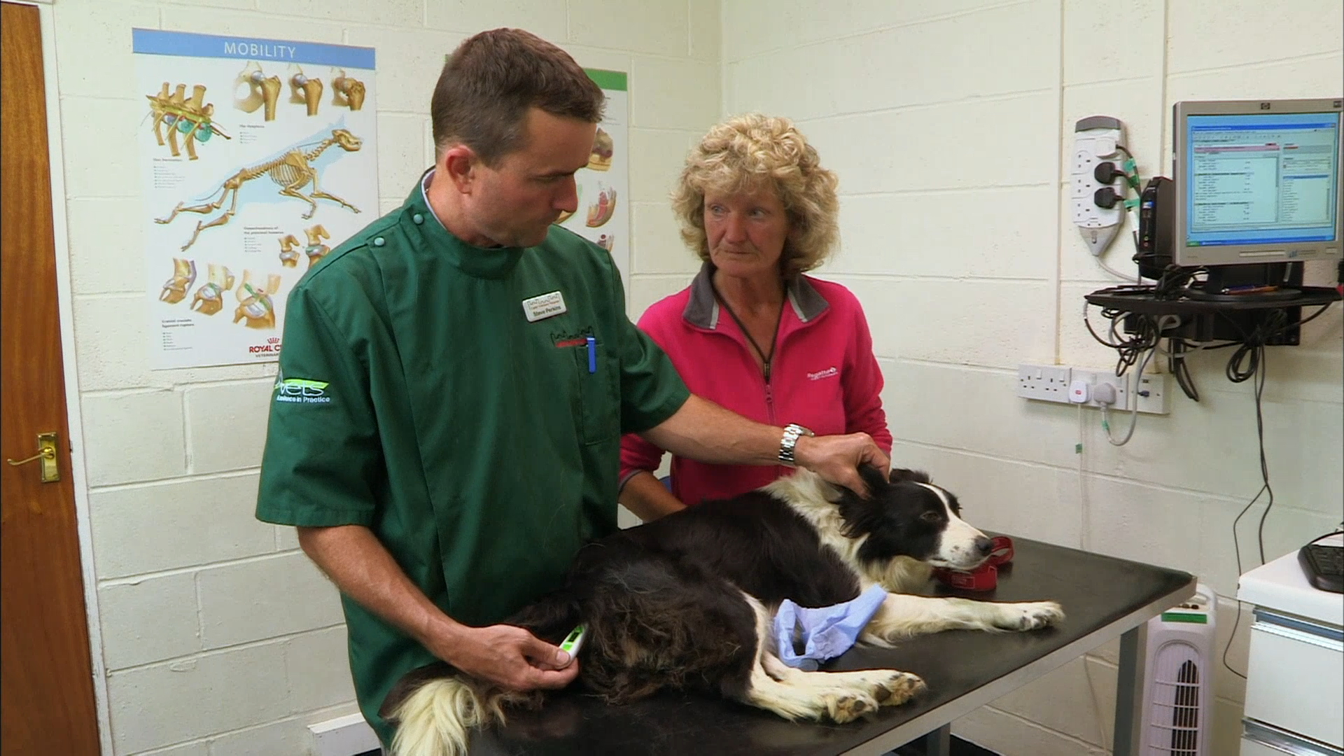 It's a Vet's Life on Pluto TV