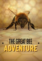 The Great Bee Adventure