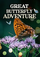 The Great Butterfly Adventure