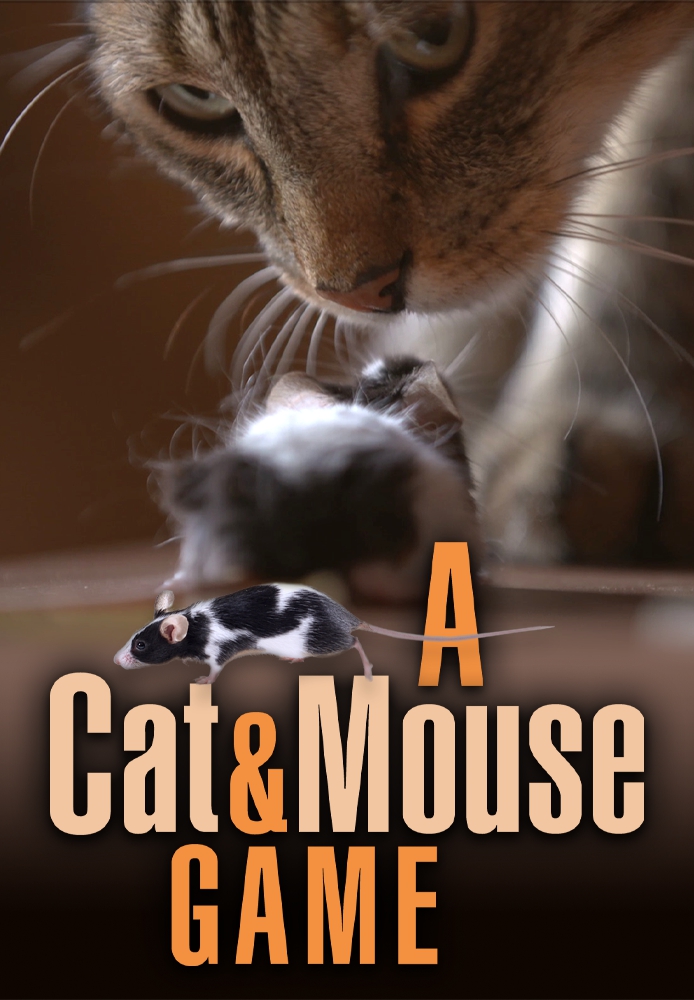 A Cat and Mouse Game