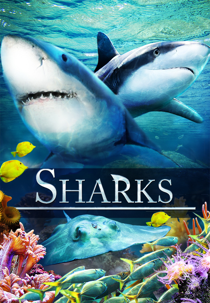 Sharks