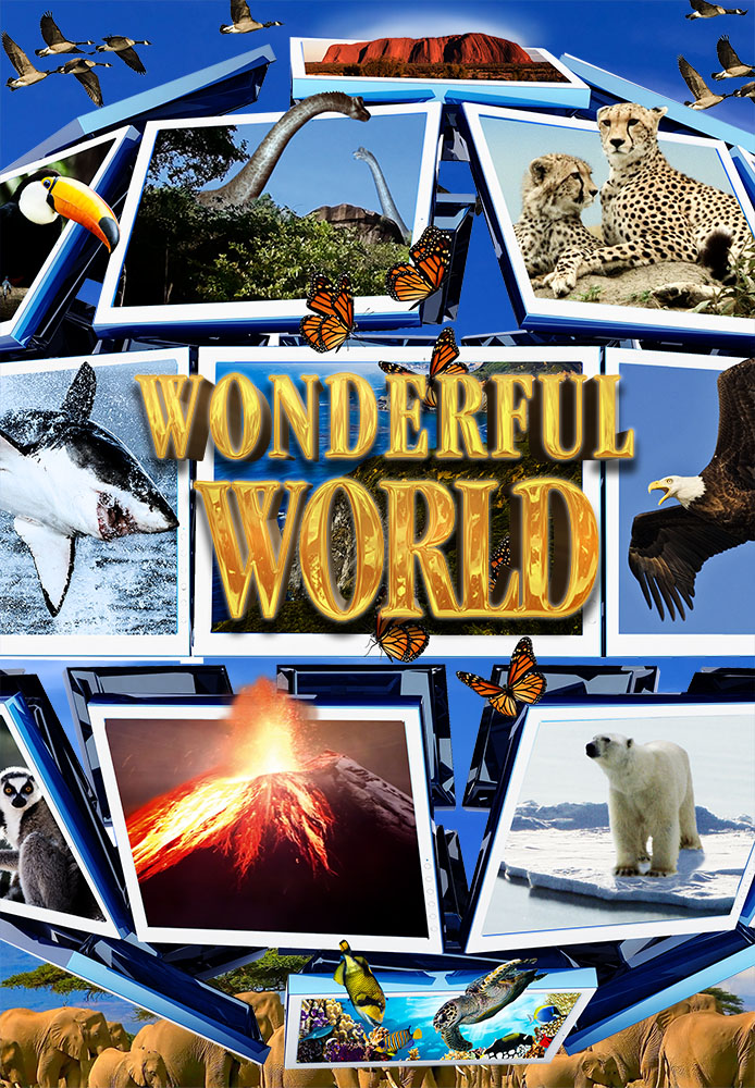 Wonderful World