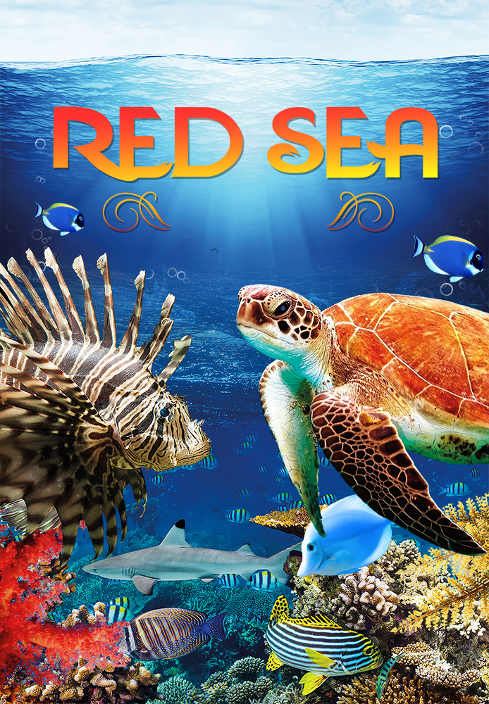 Red Sea