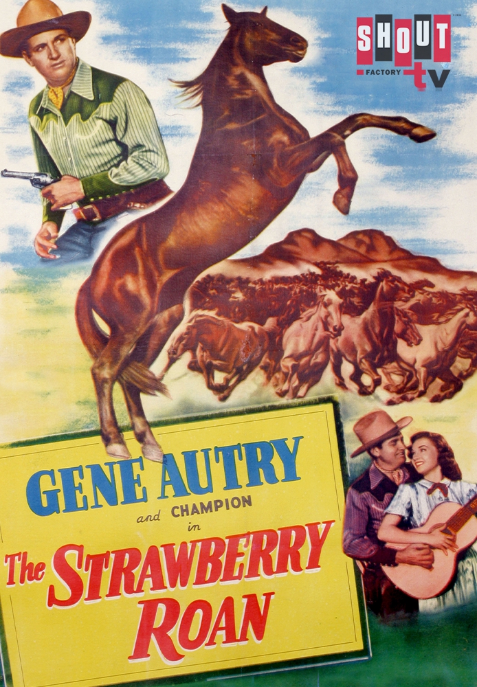 The Strawberry Roan