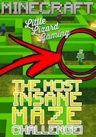 The Most Insane Maze Minecraft Challenge