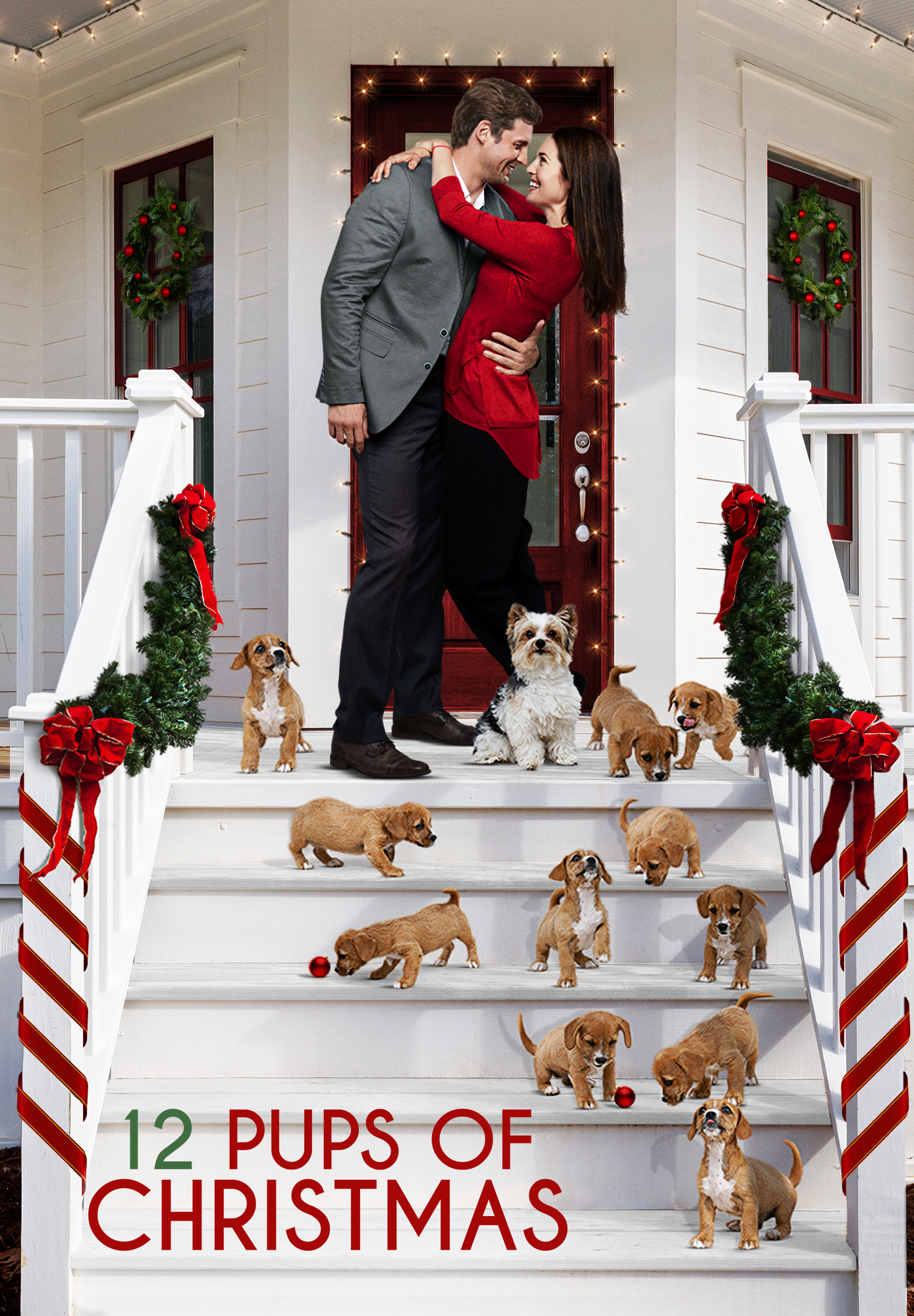 12 PUPS OF CHRISTMAS