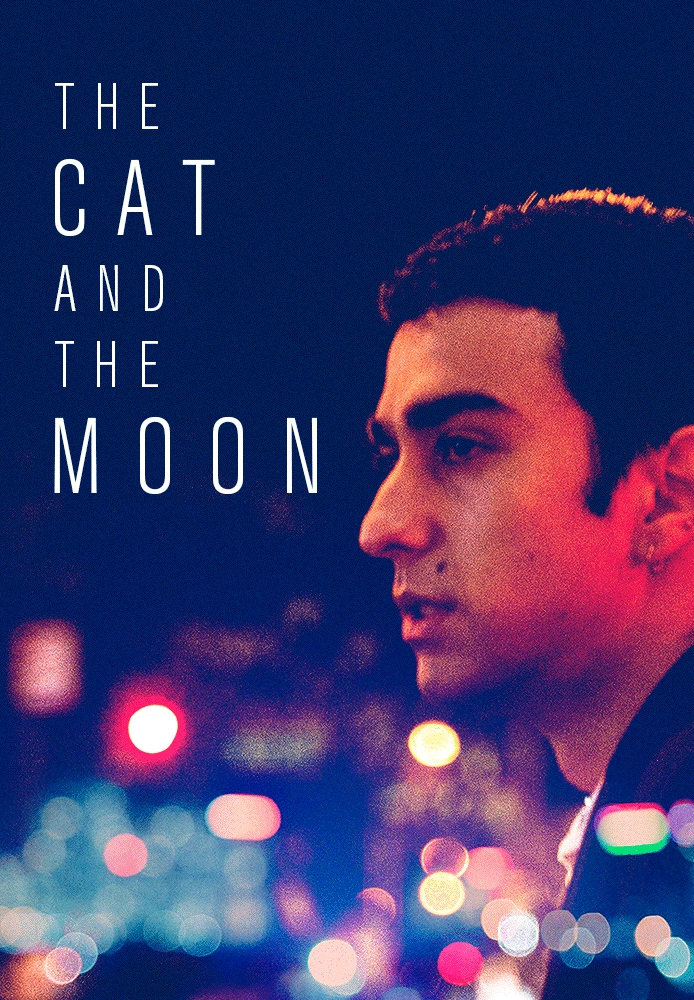 The Cat and the Moon