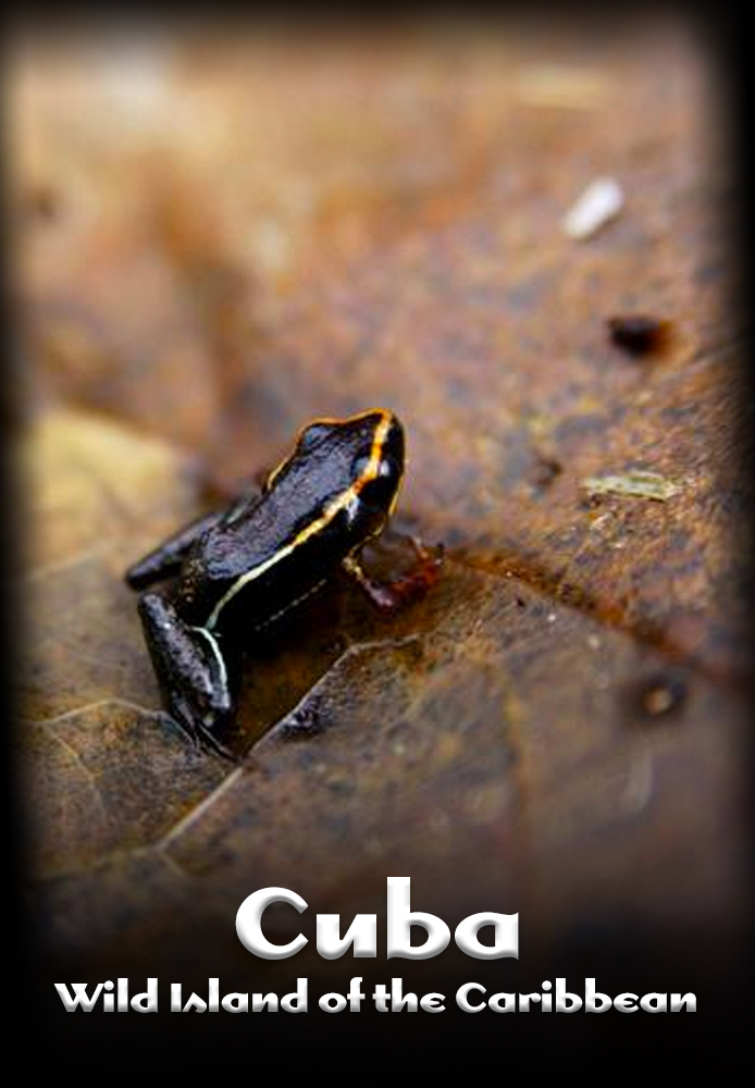 Cuba, Wild Island of the Caribbean
