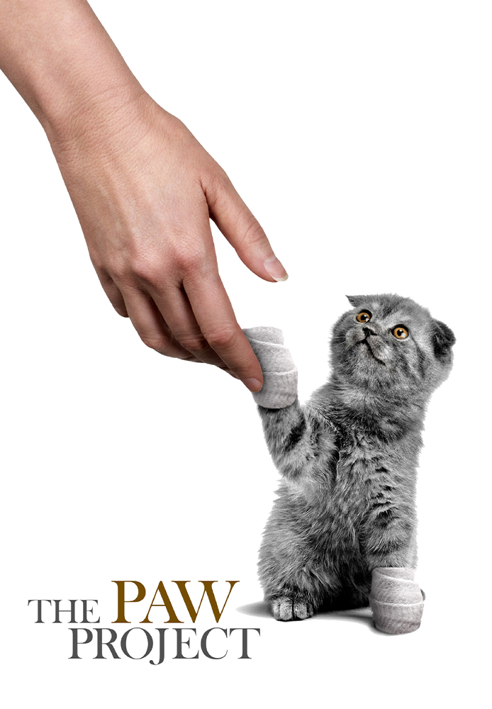 The Paw Project